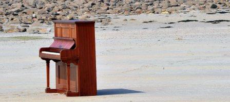 Klaver på strand